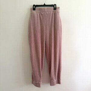Express Velour Joggers Blush Size XS